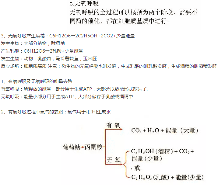 高中生物必修一细胞呼吸知识点总结