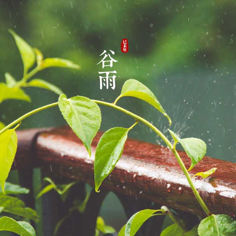 谷雨图片大全 关于谷雨的图片