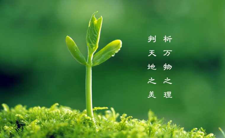 植树节作文100字左右_有关植树节的100字作文