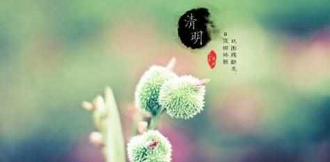 2017清明节广播稿_最新清明节广播稿