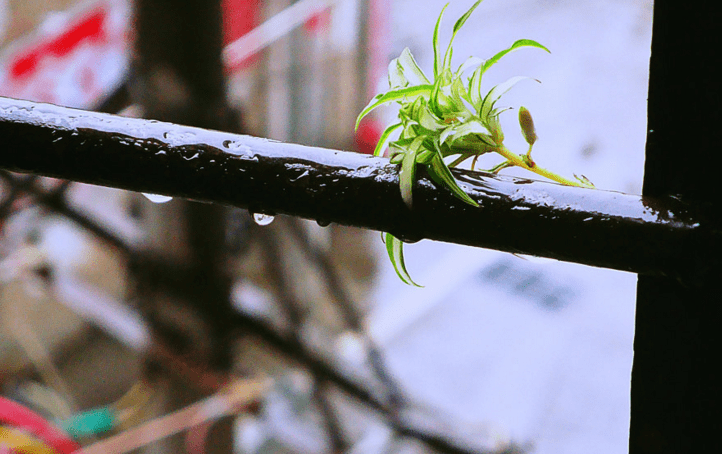 下雨天心情说说经典句子_下雨心情说说感悟生活_外面下雨了的心情说说