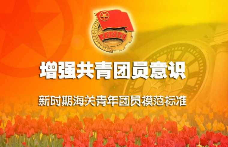 公司学总书记讲话做合格共青团员心得体会