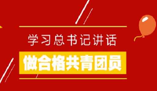 学总书记讲话做合格共青团员征文_学总书记讲话 做合格共青团员作文800字