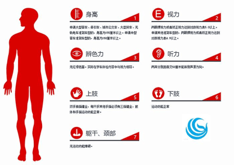 学考车牌体检主要检什么项目_学车考驾照体检流程项目表