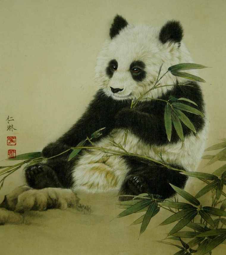 关于熊猫的画法中国画