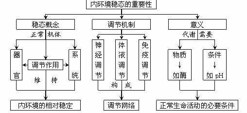 高中生物必修三第一章概念图