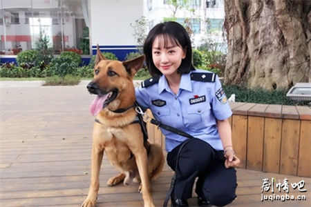 警犬来啦剧情介绍(1-40全集)