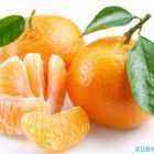 黑柑橘的功效与作用